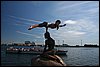 IMG_9565.JPG